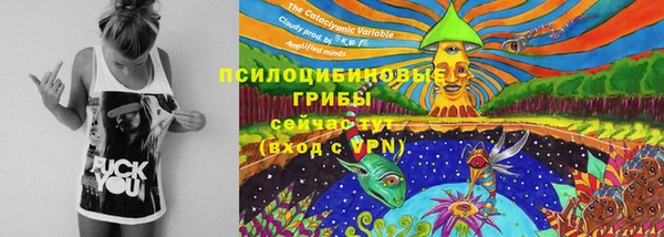молекула духа Беслан