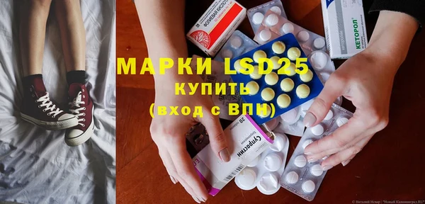 прущий лед Богданович