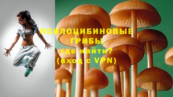 крисы Зерноград