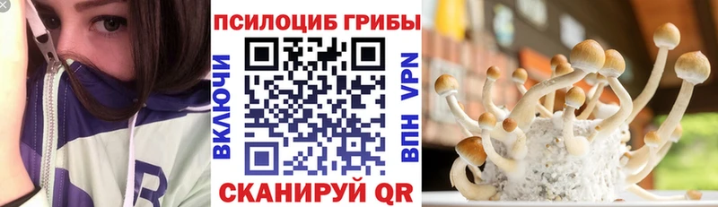 Галлюциногенные грибы Magic Shrooms  Красный Кут 